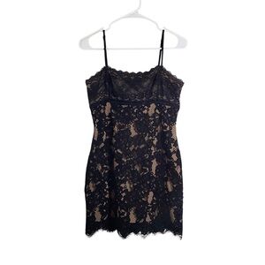 MAJORELLE Black and Beige Lace Mini Dress